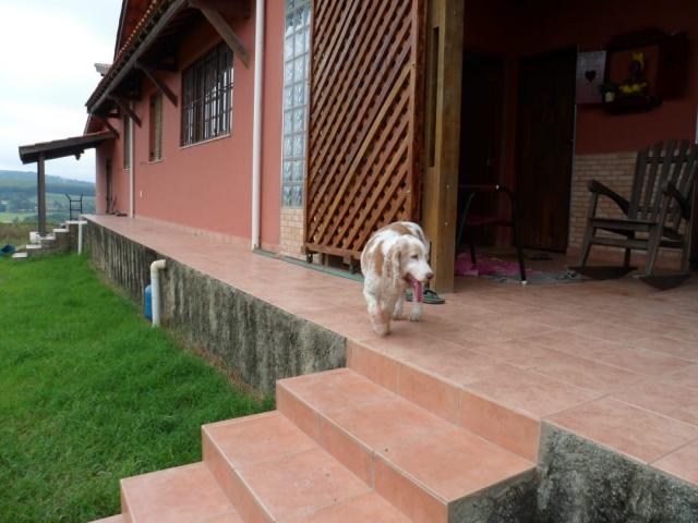 Fazenda para Venda em Piedade - 4