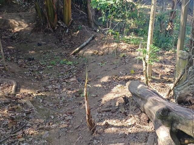 Lotes em Condomínio para Venda em São Roque - 4