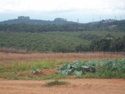 Área para Incorporação para Venda em Ibiúna - 5